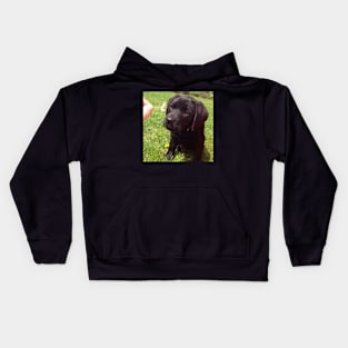 puppy dog and a flower Kids Hoodie